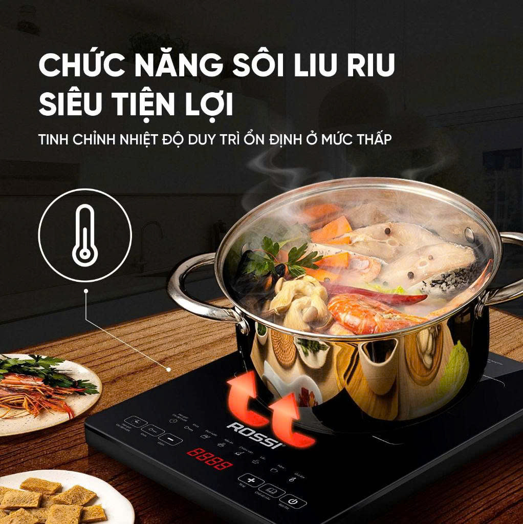 Bếp từ đơn Rossi RS-1020CC01 Tân á Đại Thành